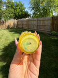 Pineapple Steamroller