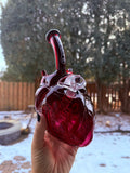 Anatomical Heart