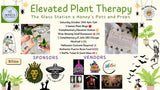 Plant Therapy w/ Honey’s Pots & Props 🪴