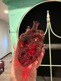 Beating Hearts baaaabyyy